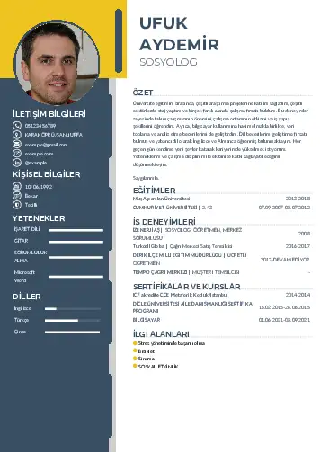 Sosyolog Cv Örnekleri cv indir